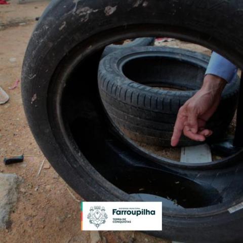 Foto notícia Sábado é Dia D contra a dengue em Farroupilha com recolhimento de pneus em diversos pontos